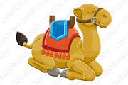 Camel Animal Cartoon Character