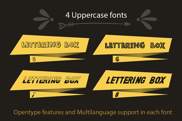 Lettering box. 8 Fonts & Extras!!! in Lettering Fonts - product preview 4