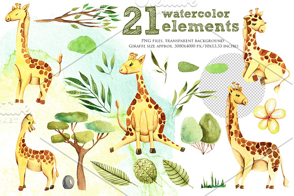 Giraffes. Watercolor clipart. in Illustrations - product preview 1