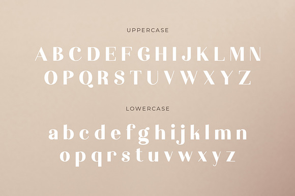 Elouise - Elegant Serif Font in Serif Fonts - product preview 1