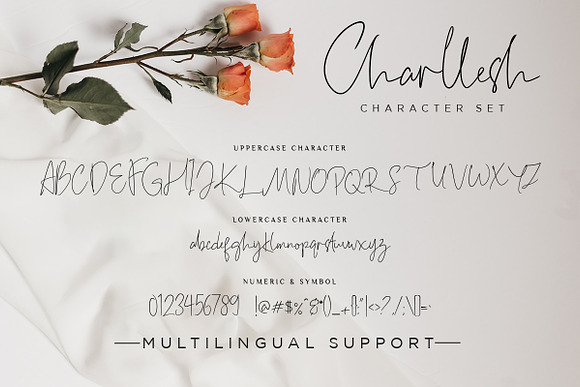 Charllesh Classy Signature Script in Signature Fonts - product preview 10