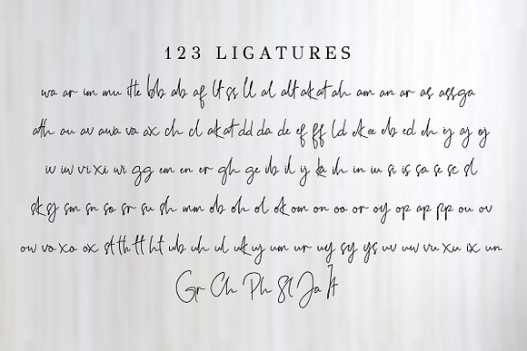 Charllesh Classy Signature Script in Signature Fonts - product preview 11