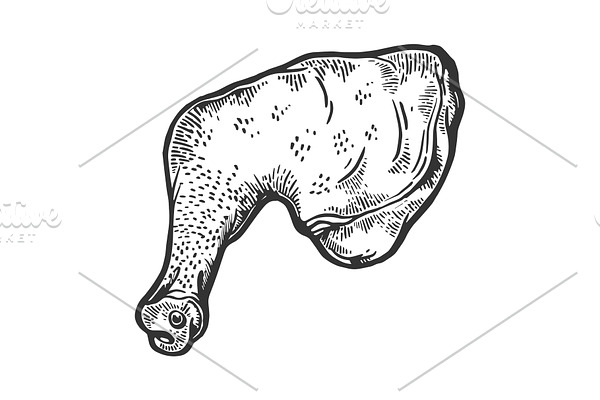 Chicken leg sketch engraving vector