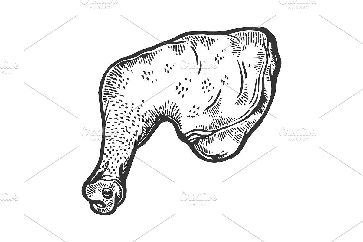 Chicken leg sketch engraving vector in Illustrations - product preview 8