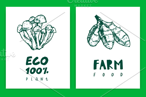 Vegans, farm food, vegetarians. in Illustrations - product preview 14