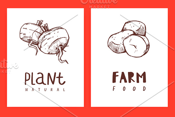 Vegans, farm food, vegetarians. in Illustrations - product preview 15