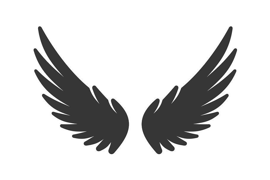 Bird Wing Icon on White Background