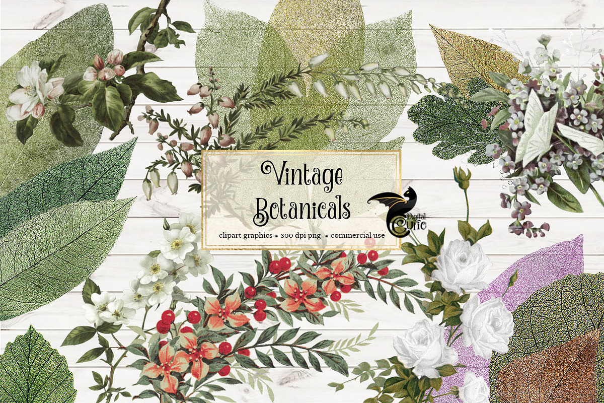 Vintage Botanical Clipart in Illustrations - product preview 8