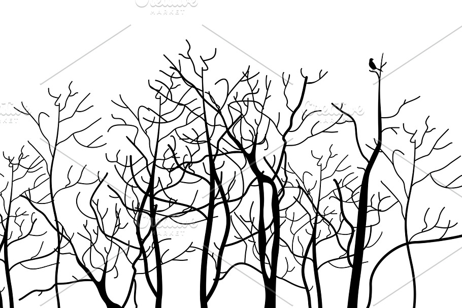 Tree branch2 in Illustrations - product preview 8