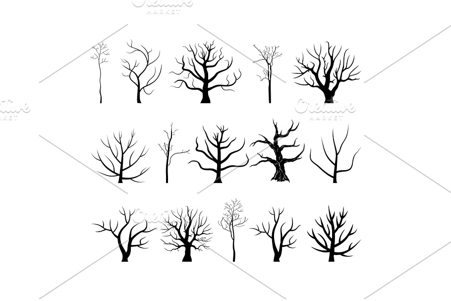 Tree branch4 in Illustrations - product preview 8