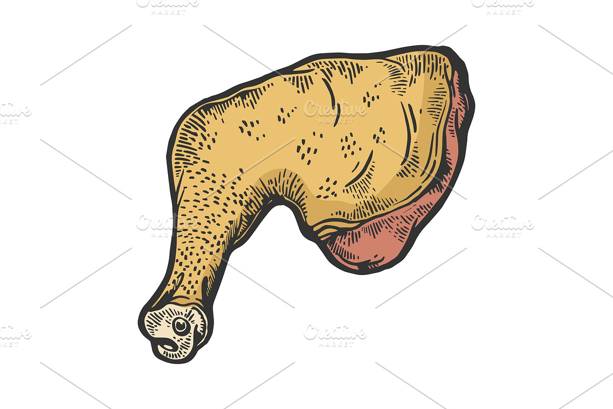 Chicken leg color sketch engraving in Illustrations - product preview 8