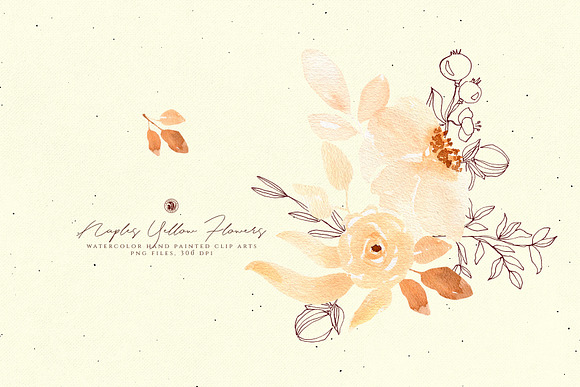 Naples Yellow Flowers in Illustrations - product preview 2