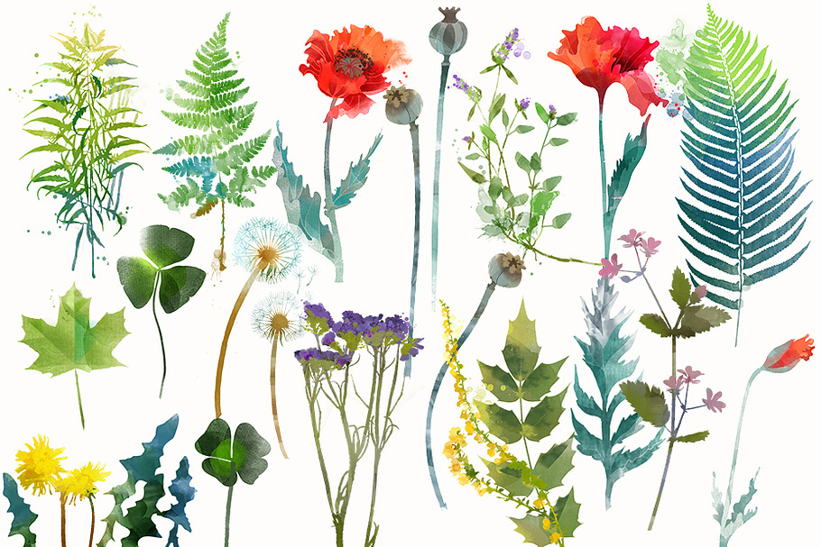 Flowers and insects in Illustrations - product preview 8