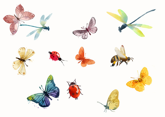 Flowers and insects in Illustrations - product preview 1