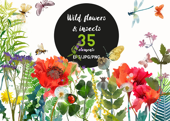 Flowers and insects in Illustrations - product preview 2
