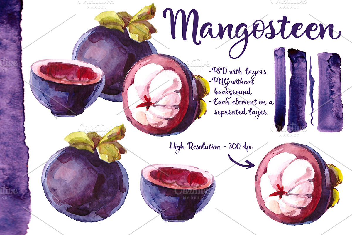 Watercolor Mangosteen. tropical in Illustrations - product preview 8