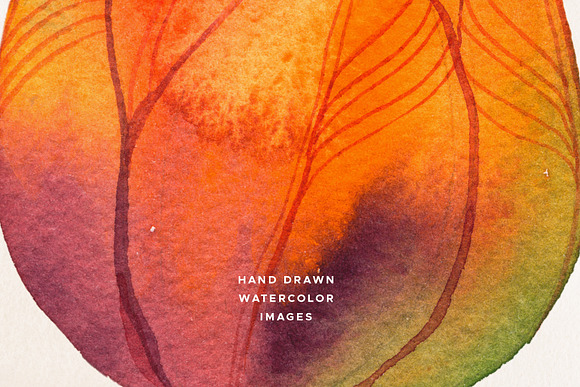 Fiery Tulips Watercolor Collection in Illustrations - product preview 2