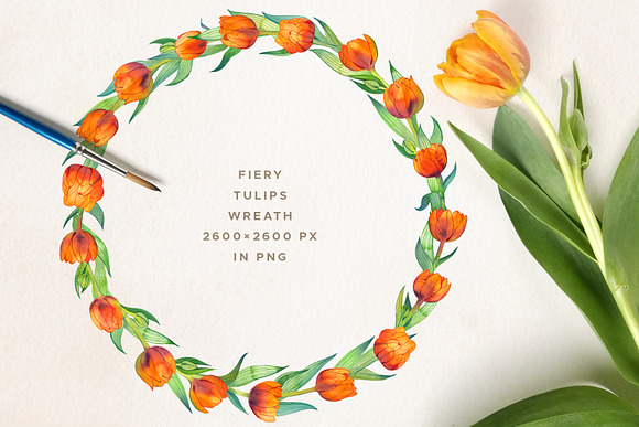 Fiery Tulips Watercolor Collection in Illustrations - product preview 4