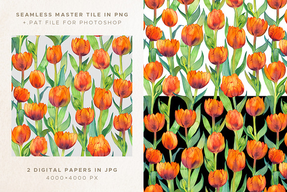 Fiery Tulips Watercolor Collection in Illustrations - product preview 5