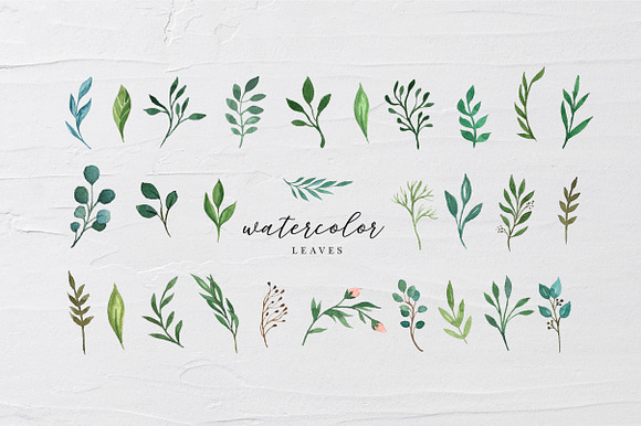 Watercolor Logo Collection in Logo Templates - product preview 2
