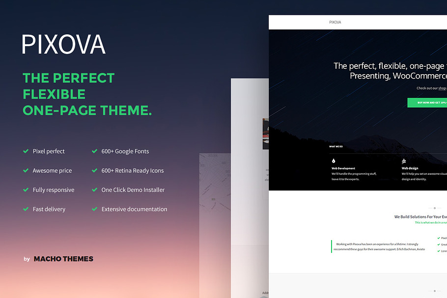 Pixova in WordPress Business Themes - product preview 8