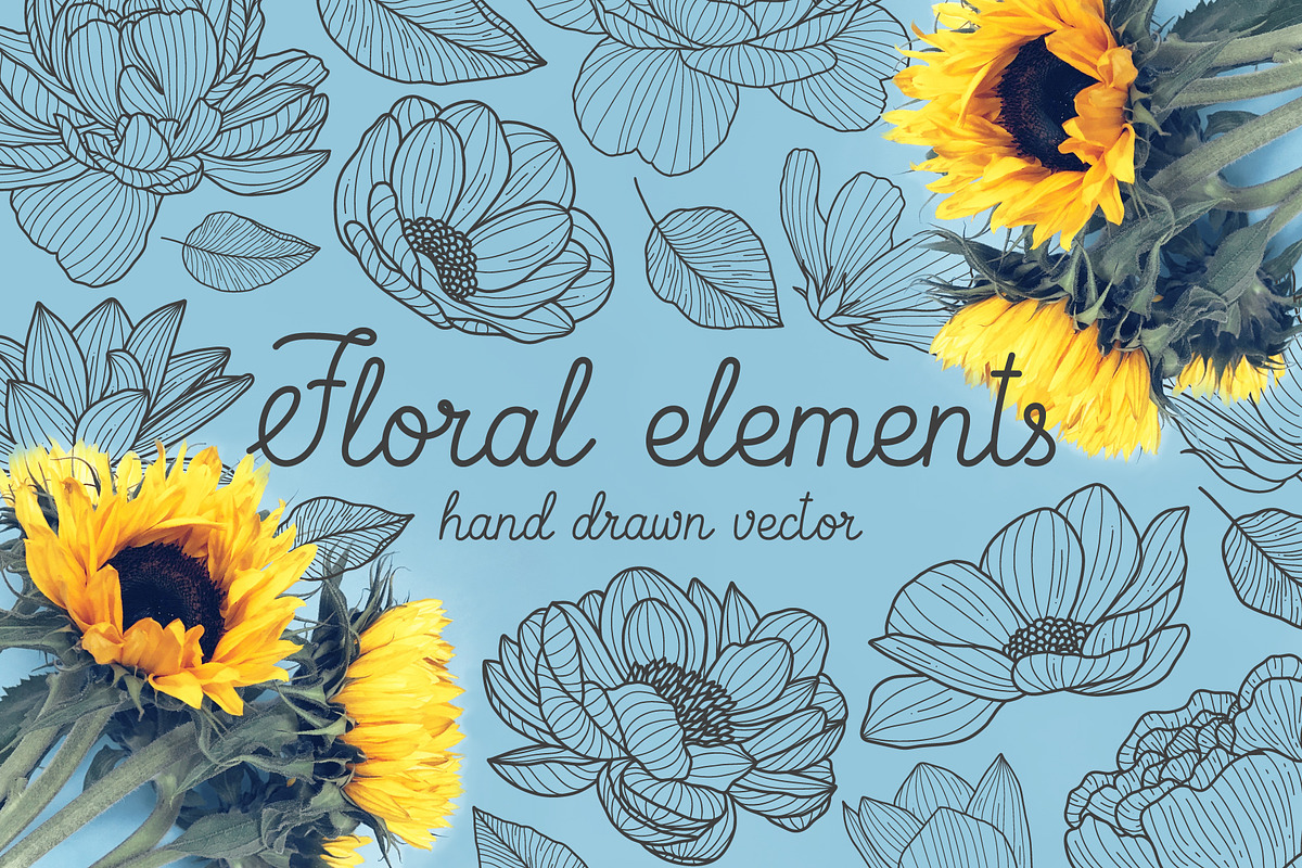 Hand drawn floral elements in Illustrations - product preview 8