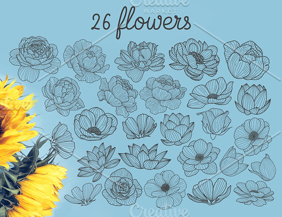 Hand drawn floral elements in Illustrations - product preview 6