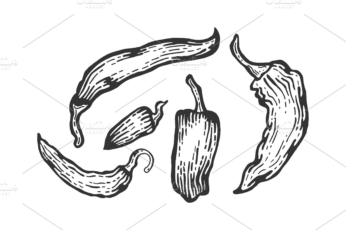 Peppers sketch engraving vector in Illustrations - product preview 8