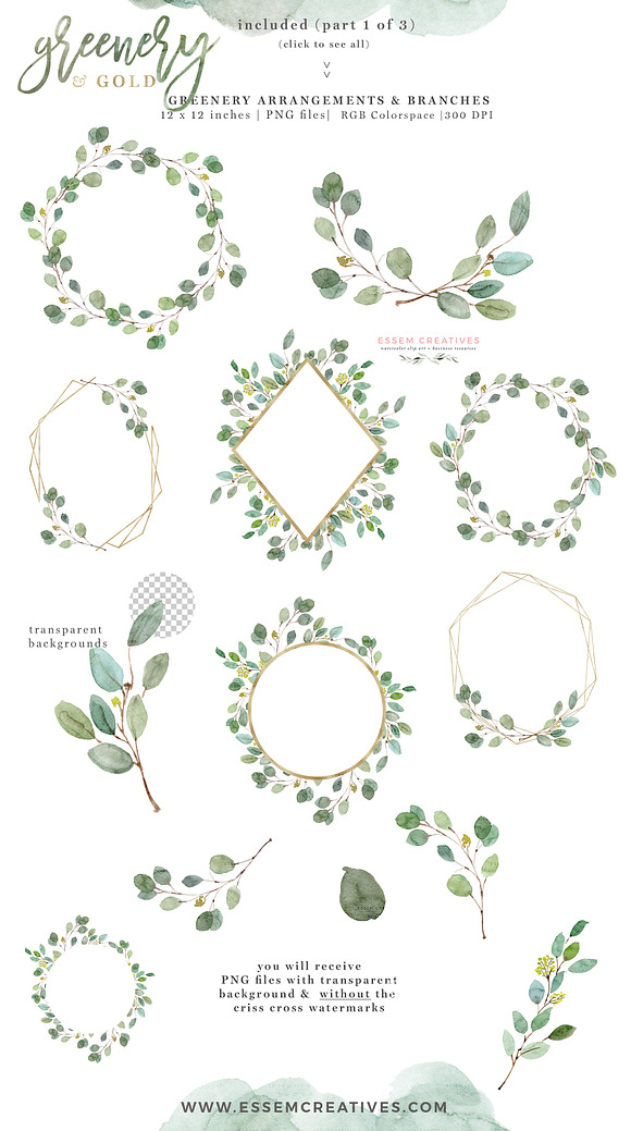 Greenery and Gold Watercolor Clipart in Illustrations - product preview 2
