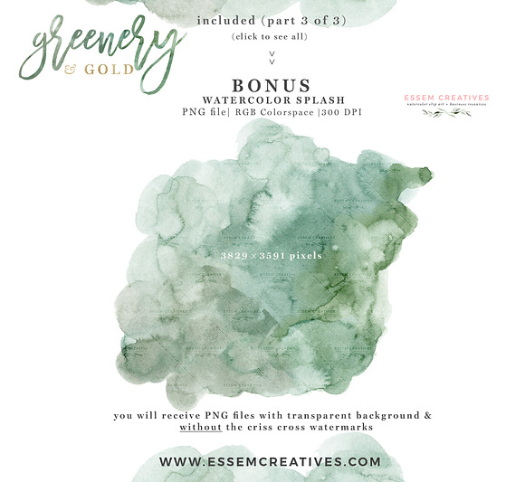 Greenery and Gold Watercolor Clipart in Illustrations - product preview 4