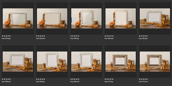 Rustic Dried Oranges Mock Up Bundle in Mobile & Web Mockups - product preview 3
