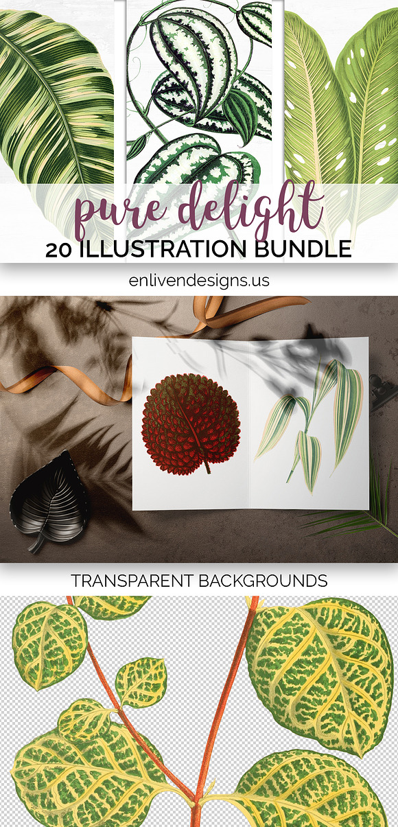 Leaves Watercolor Bundle 02 (20) in Illustrations - product preview 9
