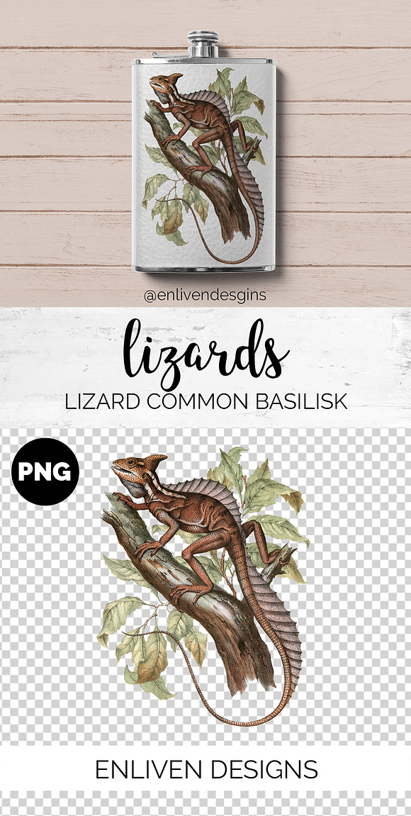 Lizards Clipart Vintage Bundle (20) in Illustrations - product preview 6
