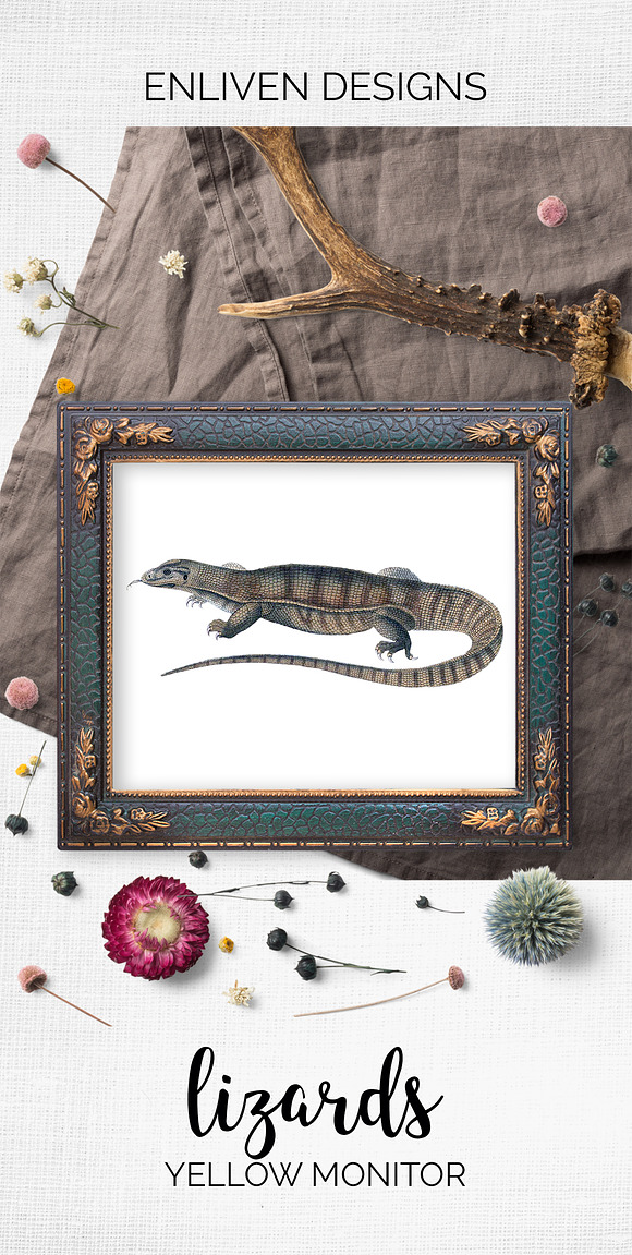 Lizards Clipart Vintage Bundle (20) in Illustrations - product preview 10