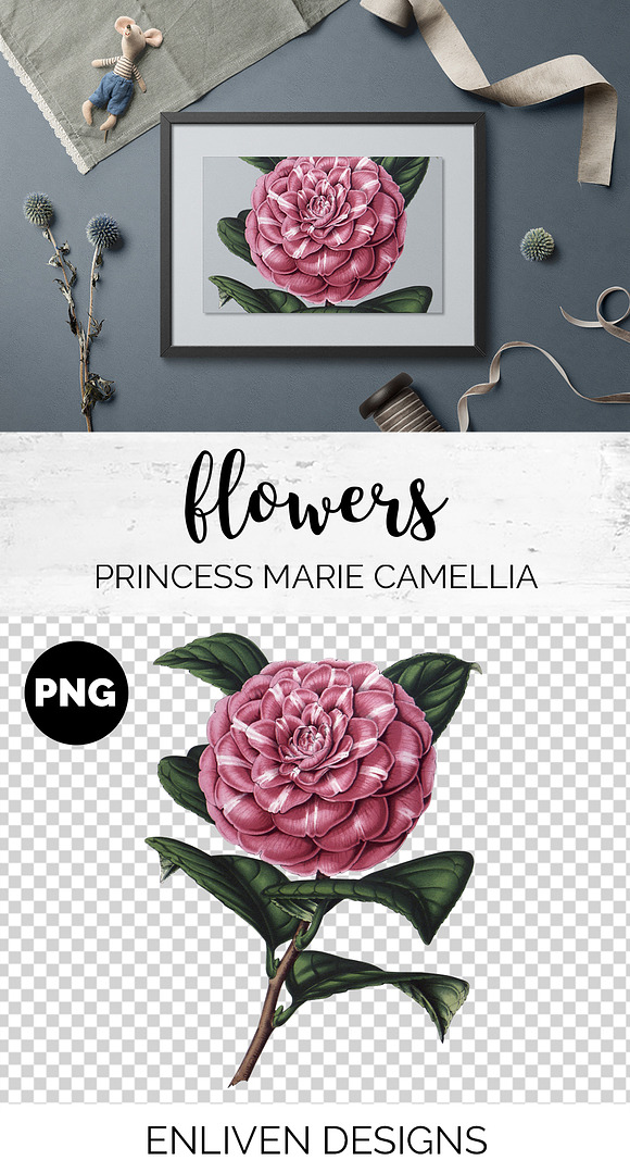 Watercolor Flowers Bundle 05 (20) in Illustrations - product preview 6