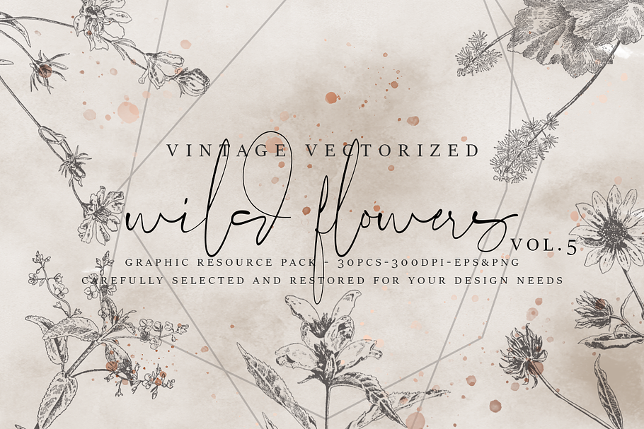 VintageVectorized-Wildflower Clipart