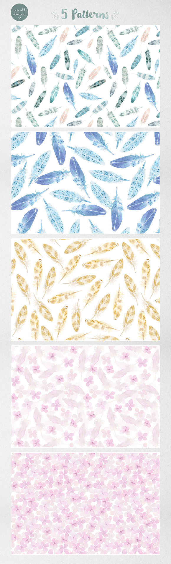 Watercolor Feathers: Patterns+Frames in Patterns - product preview 1