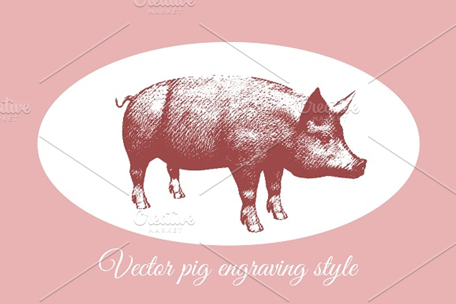 Engraving pig in Illustrations - product preview 8