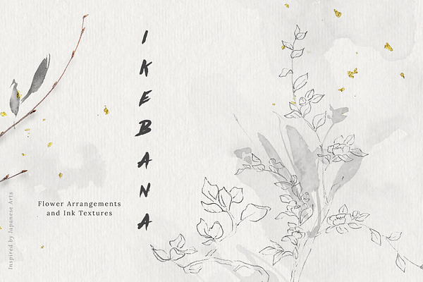 Ikebana Flower Illustrations