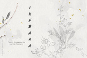 Ikebana Flower Illustrations