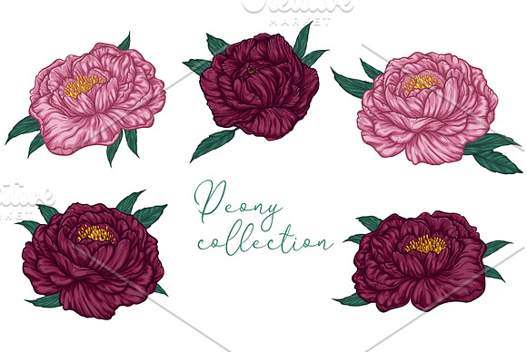 Boho Floral romantic prints in Illustrations - product preview 2