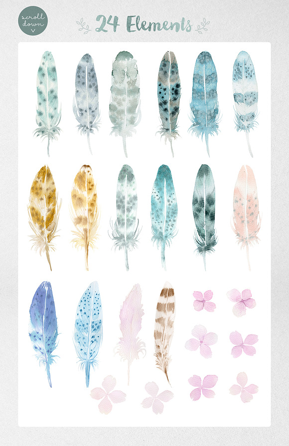 Watercolor Feathers: Patterns+Frames in Patterns - product preview 4