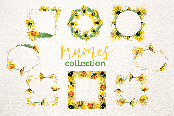 Yellow daisy Watercolor png in Illustrations - product preview 6