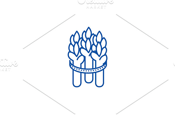 Asparagus line icon concept