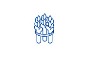 Asparagus line icon concept