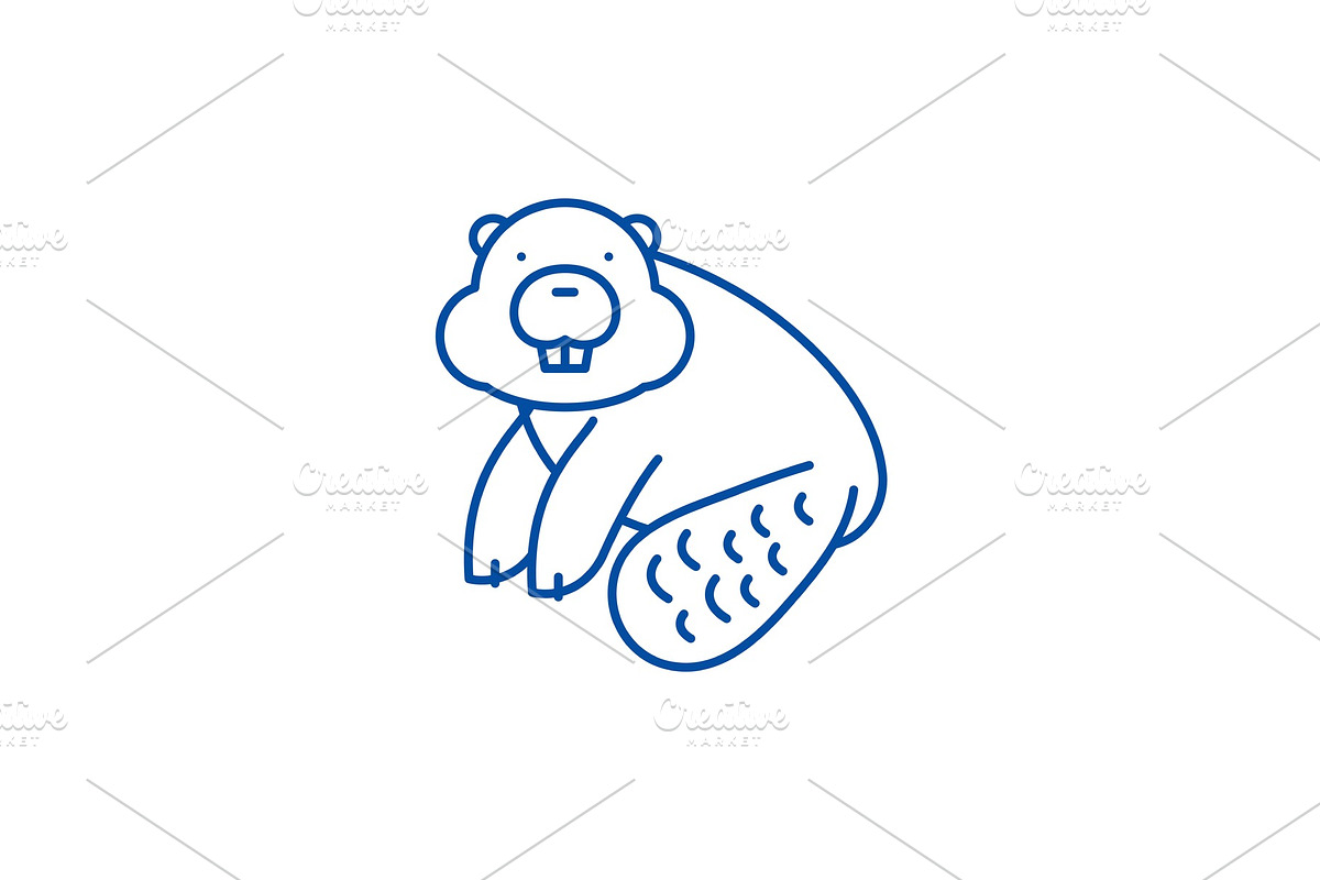 Beaver line icon concept. Beaver in Illustrations - product preview 8