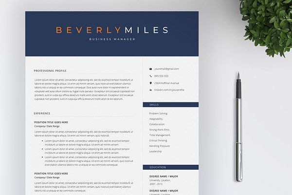 Professional Resume Template 4 Pages