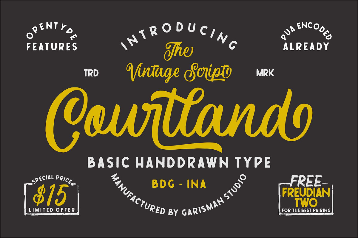 Courtland Handdrawn in Script Fonts - product preview 8