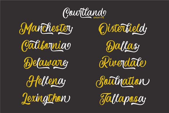 Courtland Handdrawn in Script Fonts - product preview 2