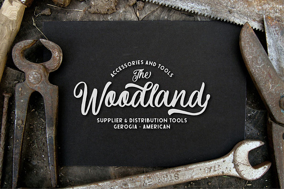 Courtland Handdrawn in Script Fonts - product preview 3
